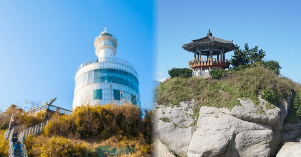 사진=온라인 커뮤니티