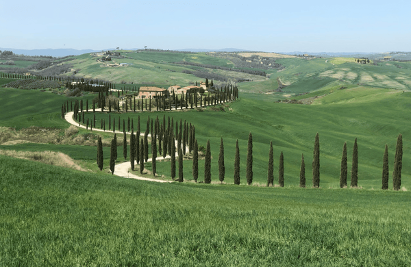 사진=온라인 커뮤니티