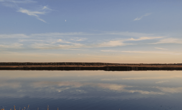 사진=온라인 커뮤니티