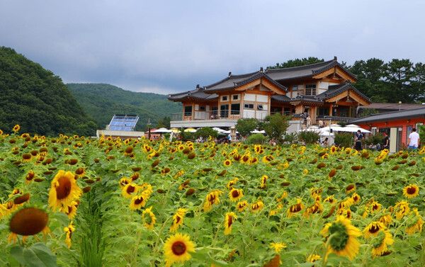 온라인 커뮤니티