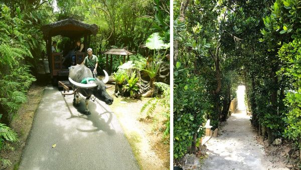 온라인 커뮤니티