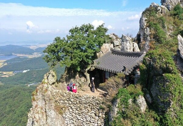 온라인 커뮤니티