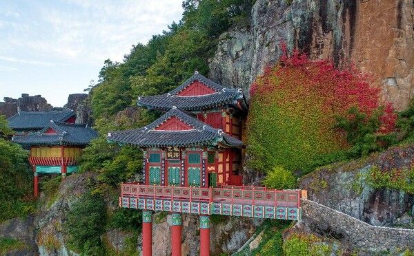 온라인 커뮤니티