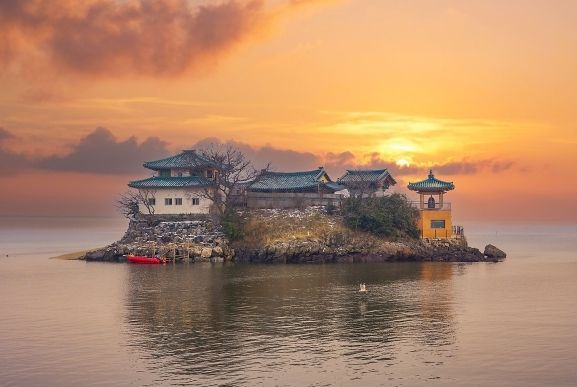 온라인 커뮤니티