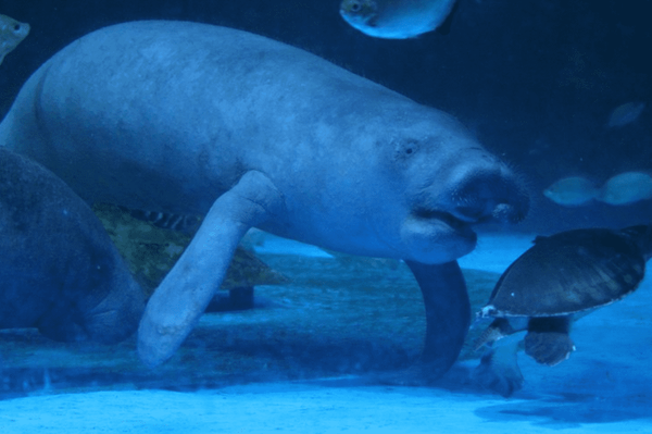 사진-온라인 커뮤니티