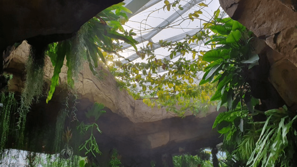 사진-온라인 커뮤니티