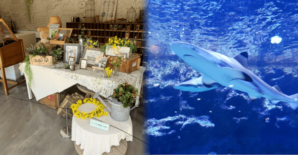 사진-온라인 커뮤니티