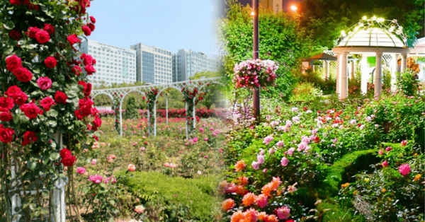 온라인 커뮤니티