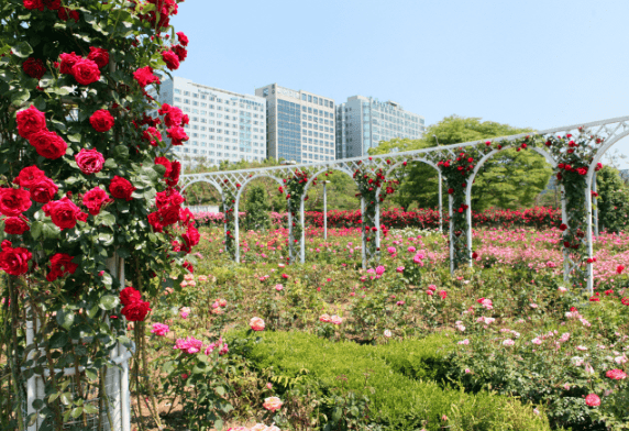 온라인 커뮤니티