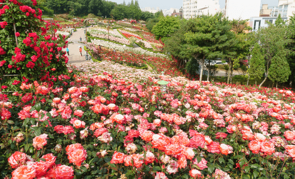 온라인 커뮤니티