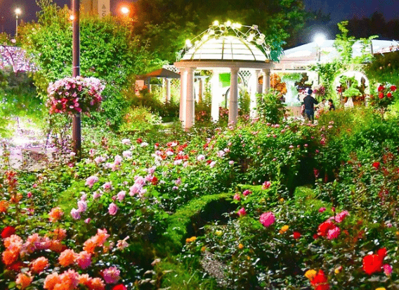 온라인 커뮤니티