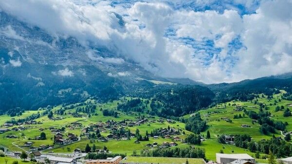 온라인 커뮤니티