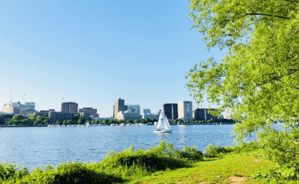 사진=온라인 커뮤니티