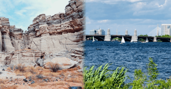 사진=온라인 커뮤니티