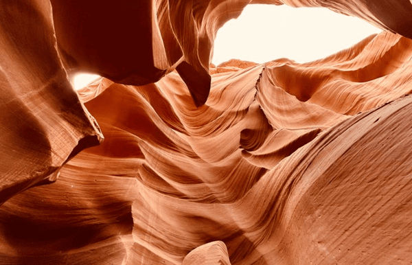 사진=온라인 커뮤니티