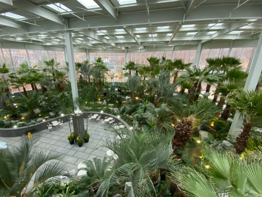 온라인 커뮤니티