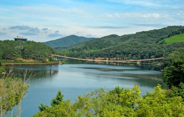 온라인 커뮤니티