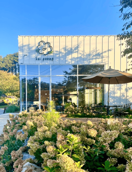 온라인 커뮤니티​​​​​​​