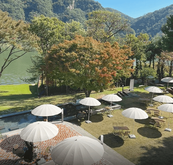 온라인 커뮤니티​​​​​​​