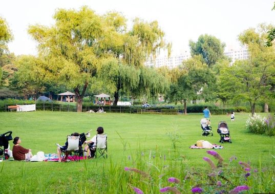 온라인 커뮤니티