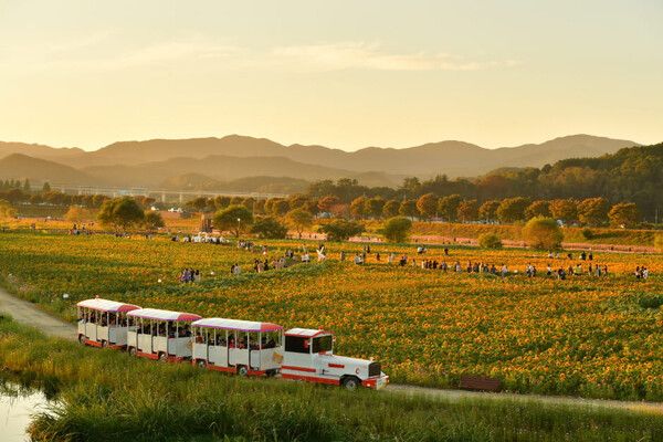 온라인 커뮤니티