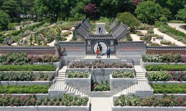 온라인 커뮤니티