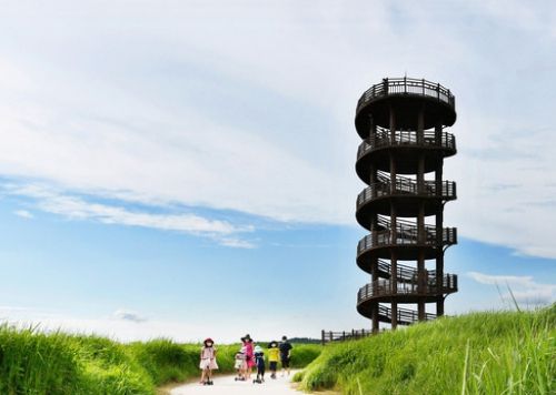 온라인 커뮤니티