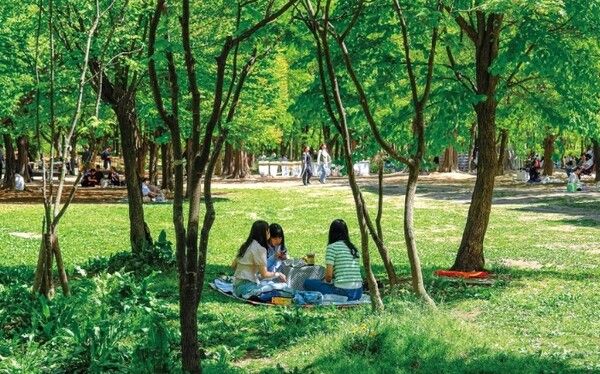 온라인 커뮤니티