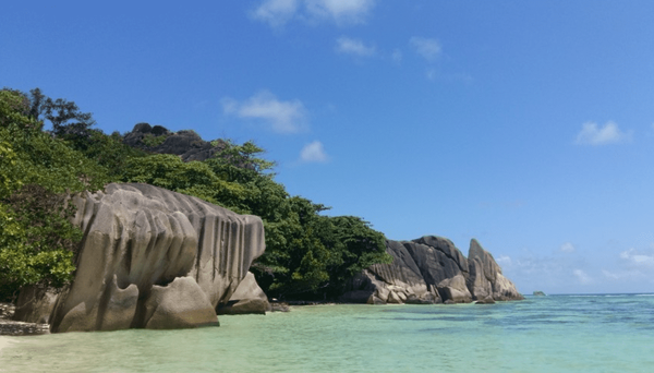 사진=온라인 커뮤니티