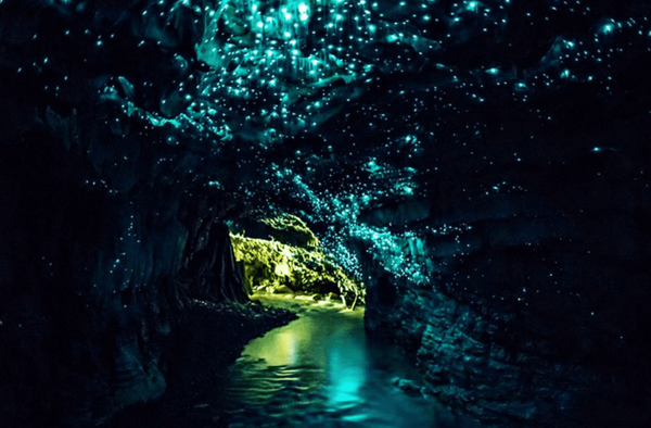 사진=OrangeSmile.com