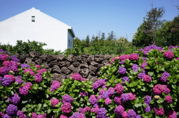 사진=온라인 커뮤니티