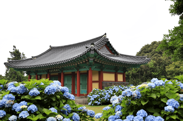 사진=온라인 커뮤니티