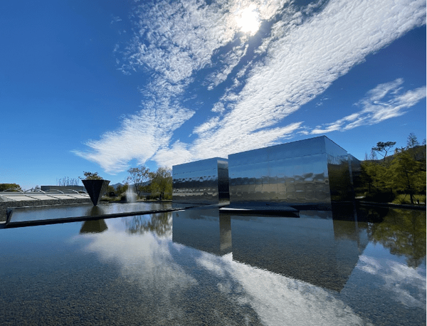 온라인 커뮤니티