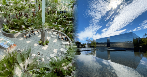 온라인 커뮤니티