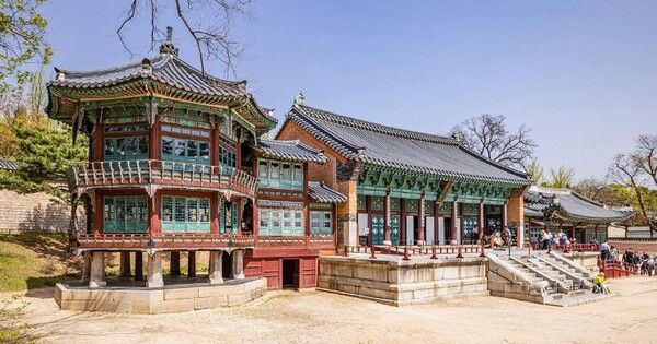 온라인 커뮤니티