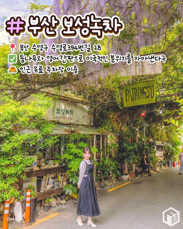 ⓒ여행톡톡 / 등나무꽃 명소