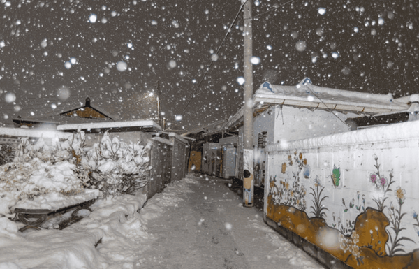 온라인 커뮤니티