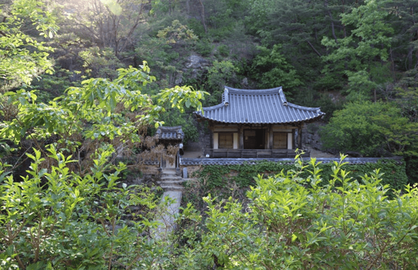 온라인 커뮤니티