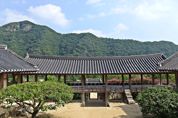 온라인 커뮤니티