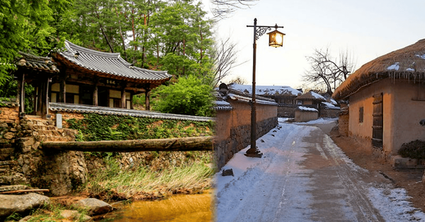 온라인 커뮤니티