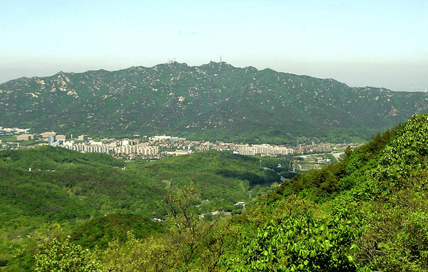 온라인 커뮤니티