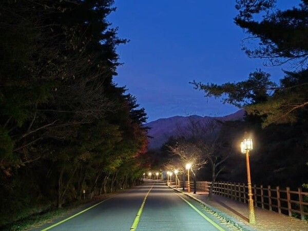 온라인 커뮤니티