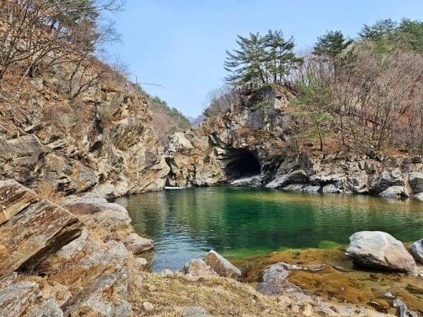 온라인 커뮤니티