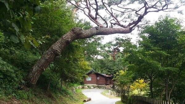 온라인 커뮤니티