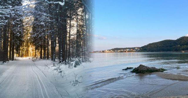 온라인 커뮤니티