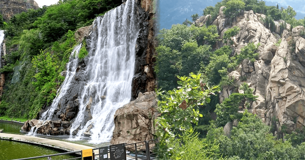 내손안의서울 / 온라인 커뮤니티