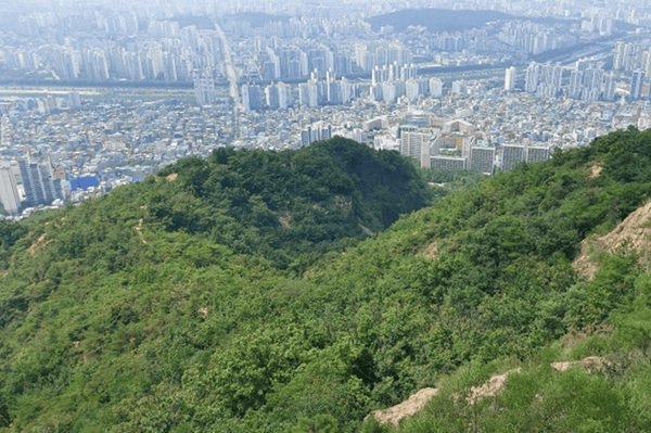 온라인 커뮤니티