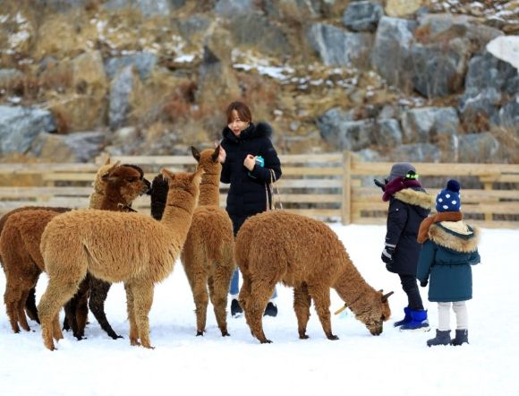 온라인 커뮤니티