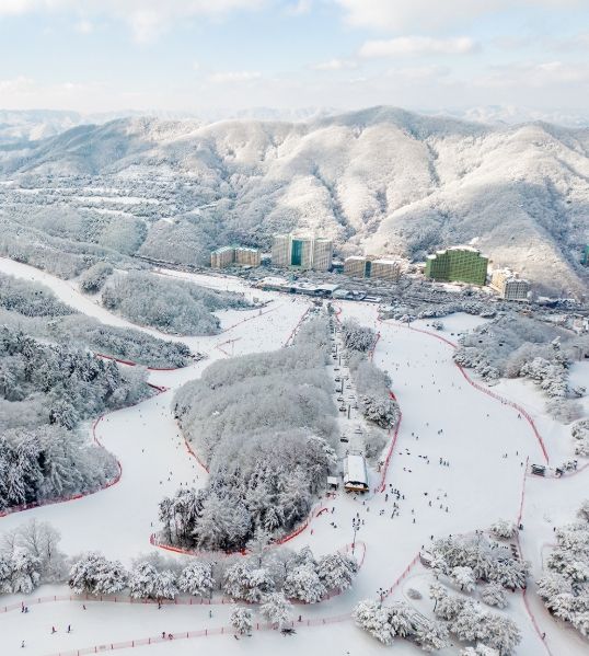 온라인 커뮤니티