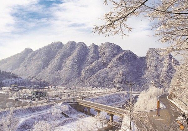 온라인 커뮤니티